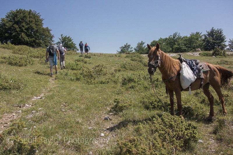 9401 Walk to Maratea - Basilicata