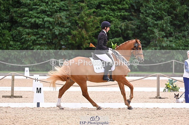 240809-131720-01051 - Preliminary Silver