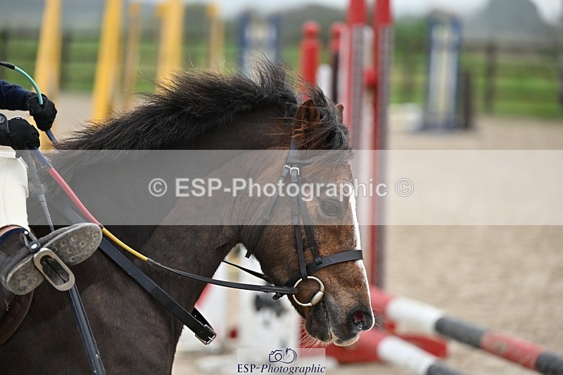 241110-093953-00046 - 40cm Showjumping