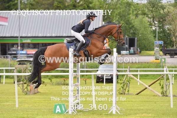 BPP_3160 - CLASS 2 SENIOR FOX/1.20M OPEN