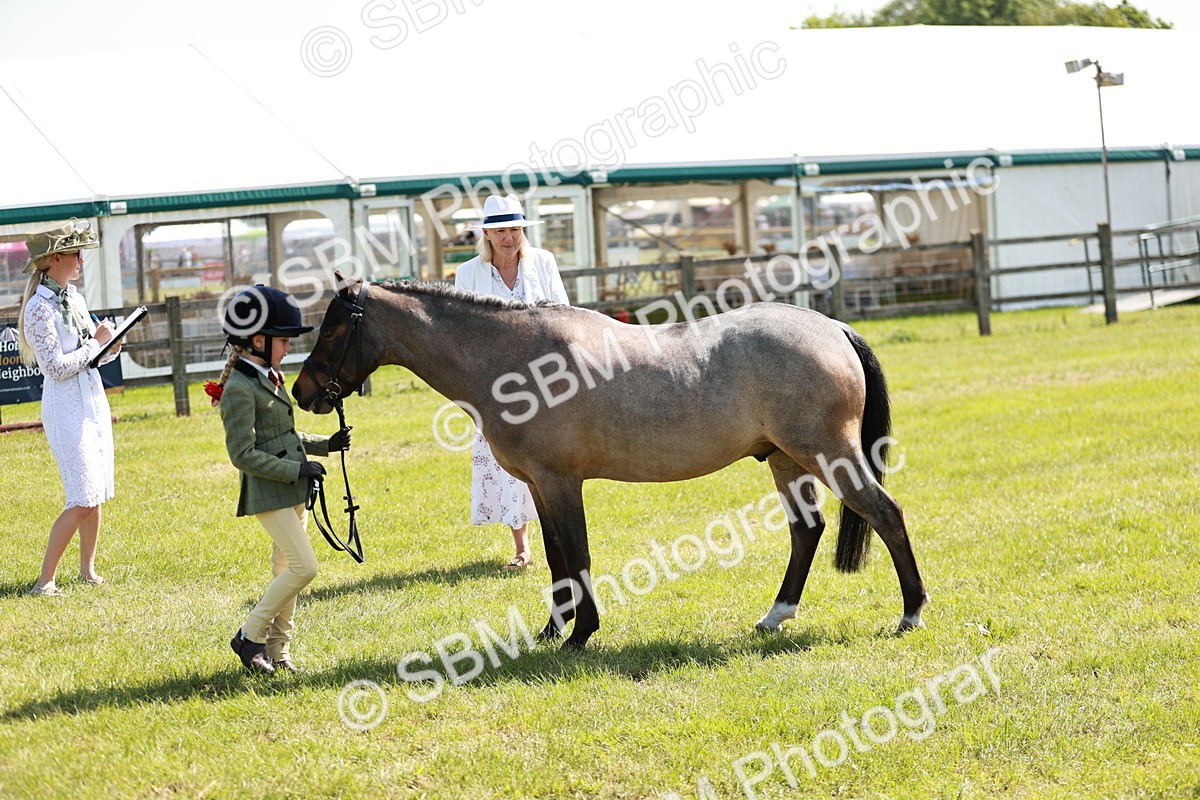 SBM_13519 - Class 108-109 - BSPS LIHS Open Gradle & Nursery Stakes