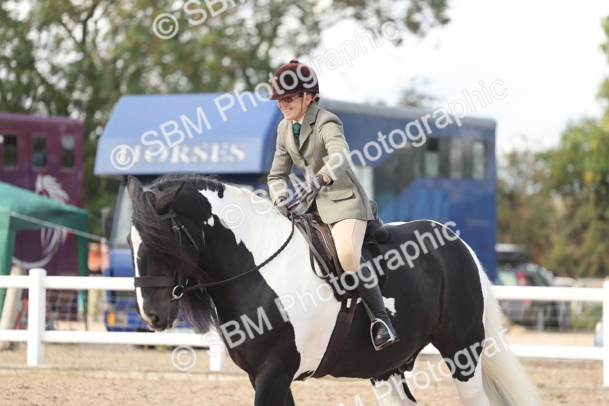 SBM_14820 - Class 308 - Ridden Coloured Horse