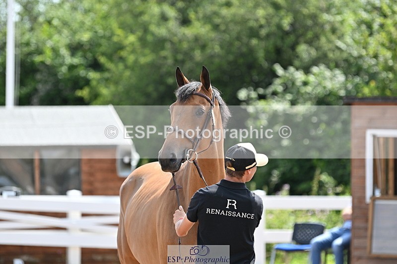240717A-151457-02682 - Trot Up 3pm to 4pm