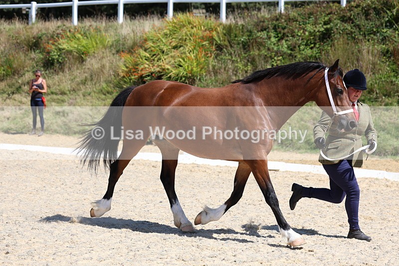 3E7A9643 - Class 32: Best Grass Kept