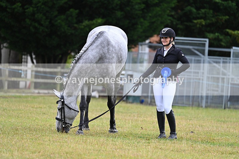 WJ7_6392 - Class 4a Prettiest Mare over 14hh
