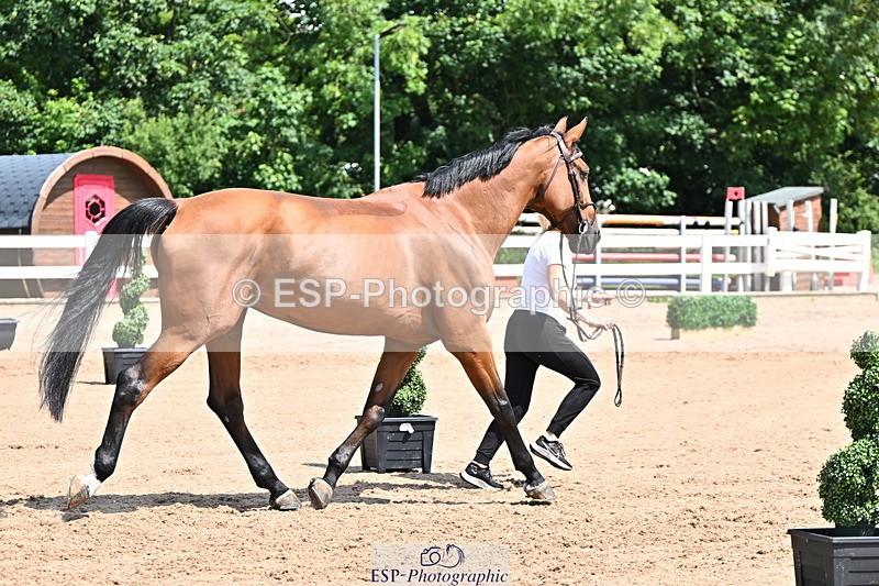 240718A-105245-01117 - Trot Up 12pm to 1pm