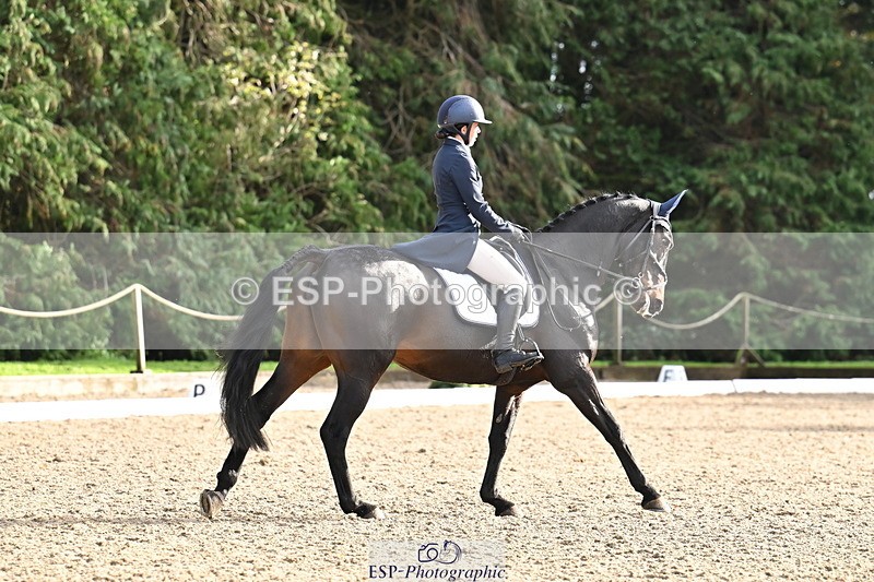 251023A-151210-05364 - C-254-Emily.Mainieri