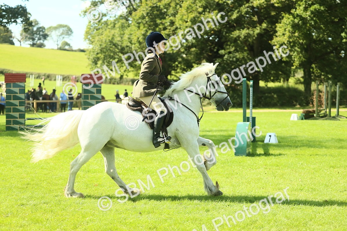 SBM_41985 - S29 - Novice & Newcomers Working Hunter Pony