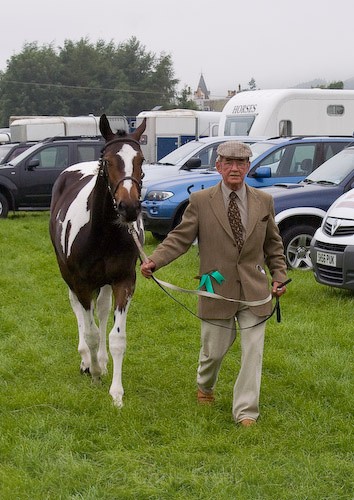17 - Moniaive Horse Show 2008