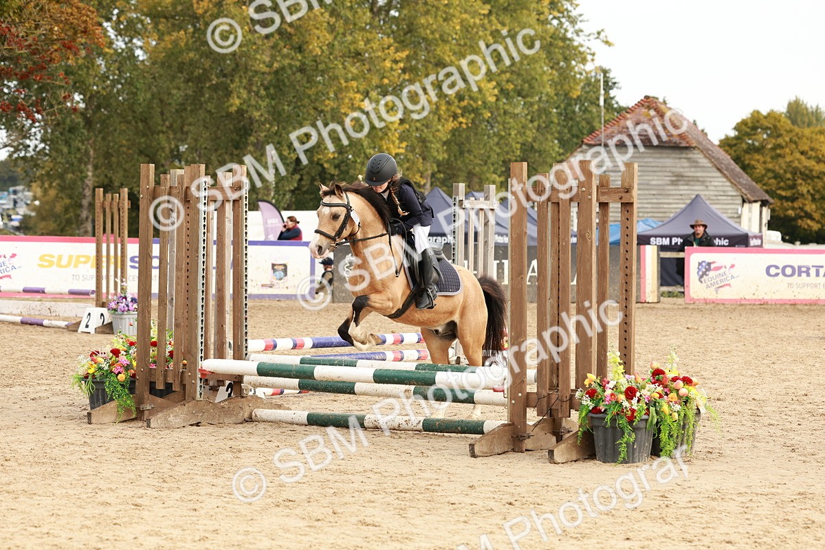 SBM_57676 - J11 - Junior Pony 50cm Championship