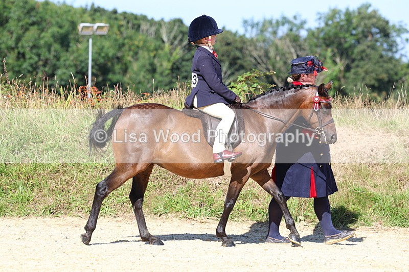 3E7A8010 - Class 15: Lead Rein