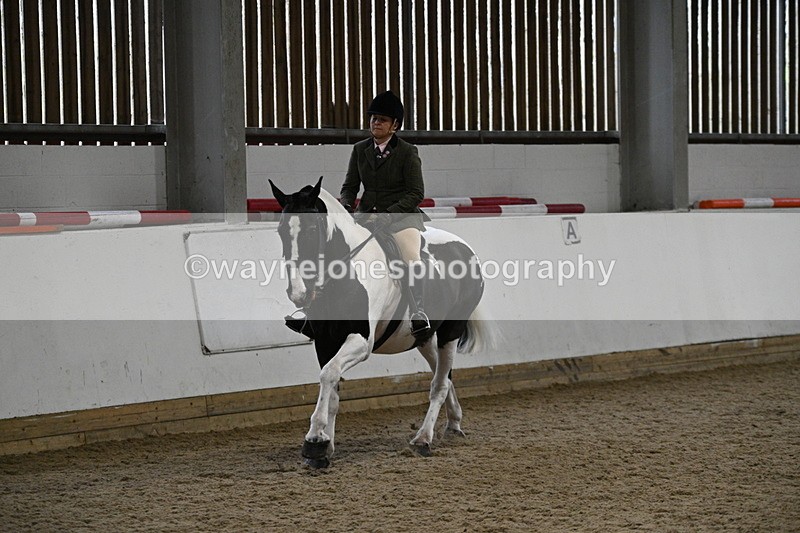 WJ7_4072 - Class 17 Ridden Cob