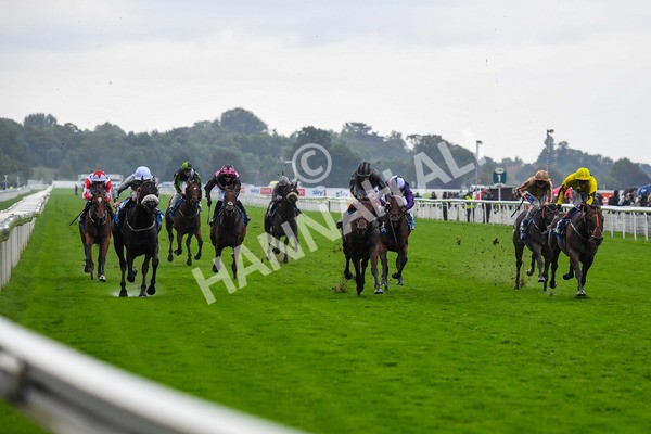 yr21082021r5-2 - Race 5 4.10pm Julia Graves Roses Stakes