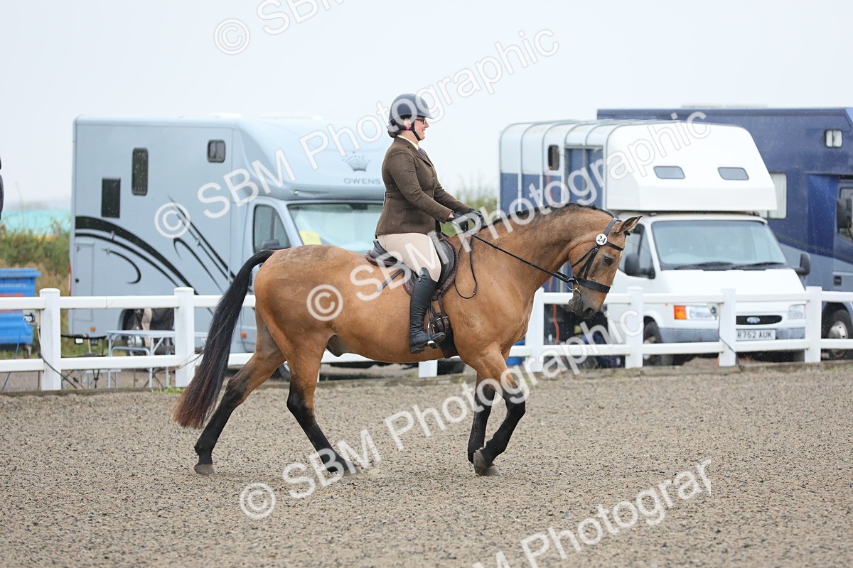 SBM_19833 - Class 801 - Ridden Veteran