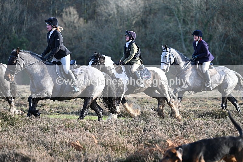 WJ7_7977 - Line 3 (no line 4 or 5)