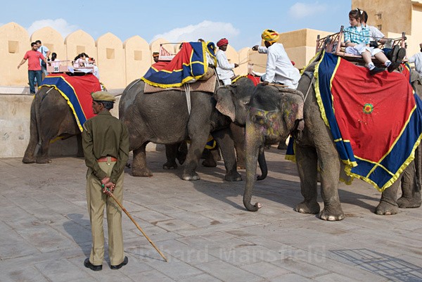  - Rajasthan, India