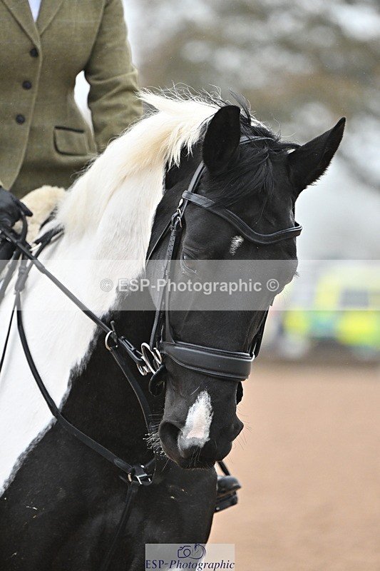 241103A-104656-06750 - SUN Cls 18 British Novice and 90cm Open