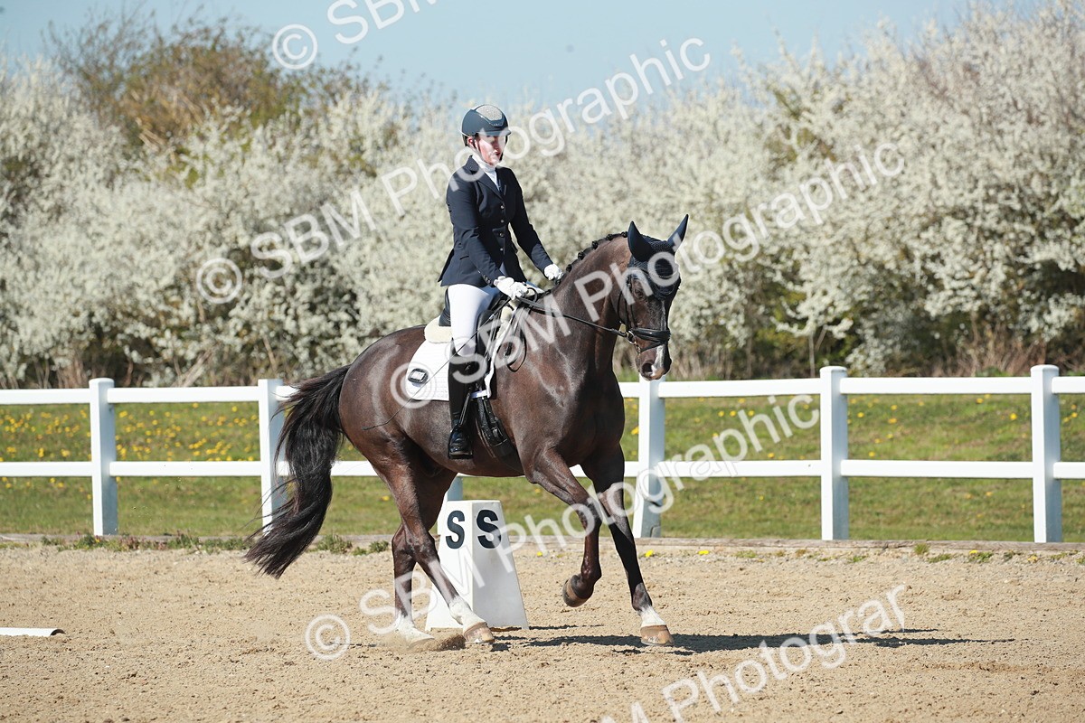 SJ3_1481 - Class 8 - E5