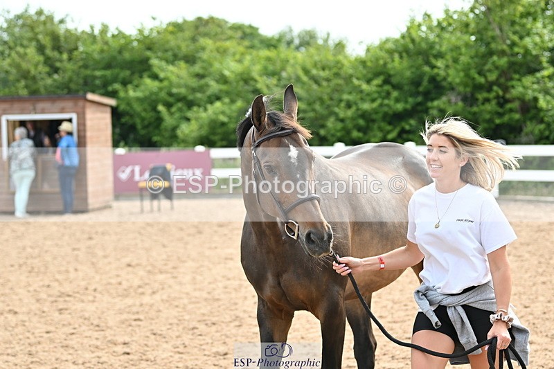 240717A-163903-03477 - Trot Up 4pm to 5pm
