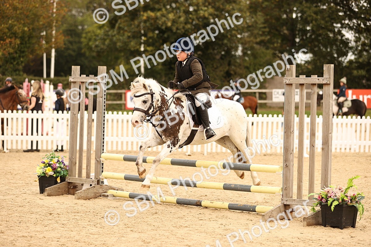 SBM_72484 - J14 - Junior Pony 65cm Championship