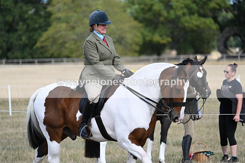 WJ7_6705 - Class 14 Ridden Coloured