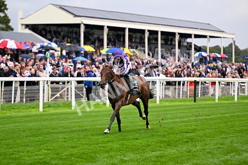 200826-Race 2-Sun Goddess-3170 - Race 2 14.25pm Harry's Half Million By Goffs