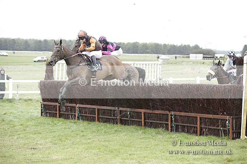 PtP 150320 0195 - New Forest Point-to-Point Larkhill 15/03/20