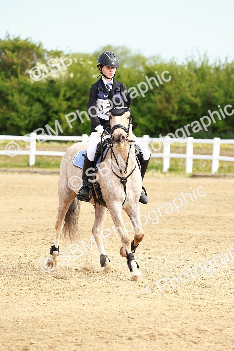 SBM_006510 - Class 1 - 40cm