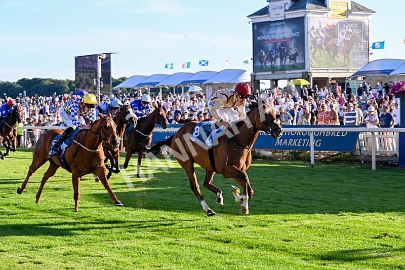 240726-Race 4-Rajaking-5351 - Race 4 19.15pm Tomahawk Handicap