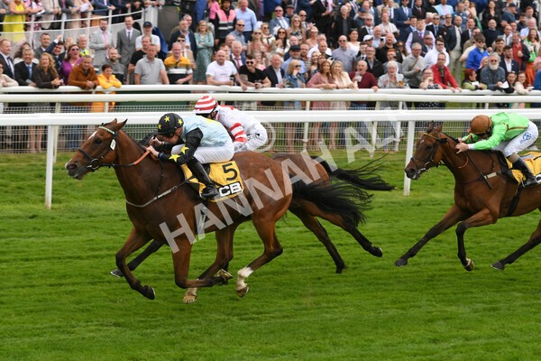 yr11062022r3-21 - Race 3 2.35pm The JCB Stakes