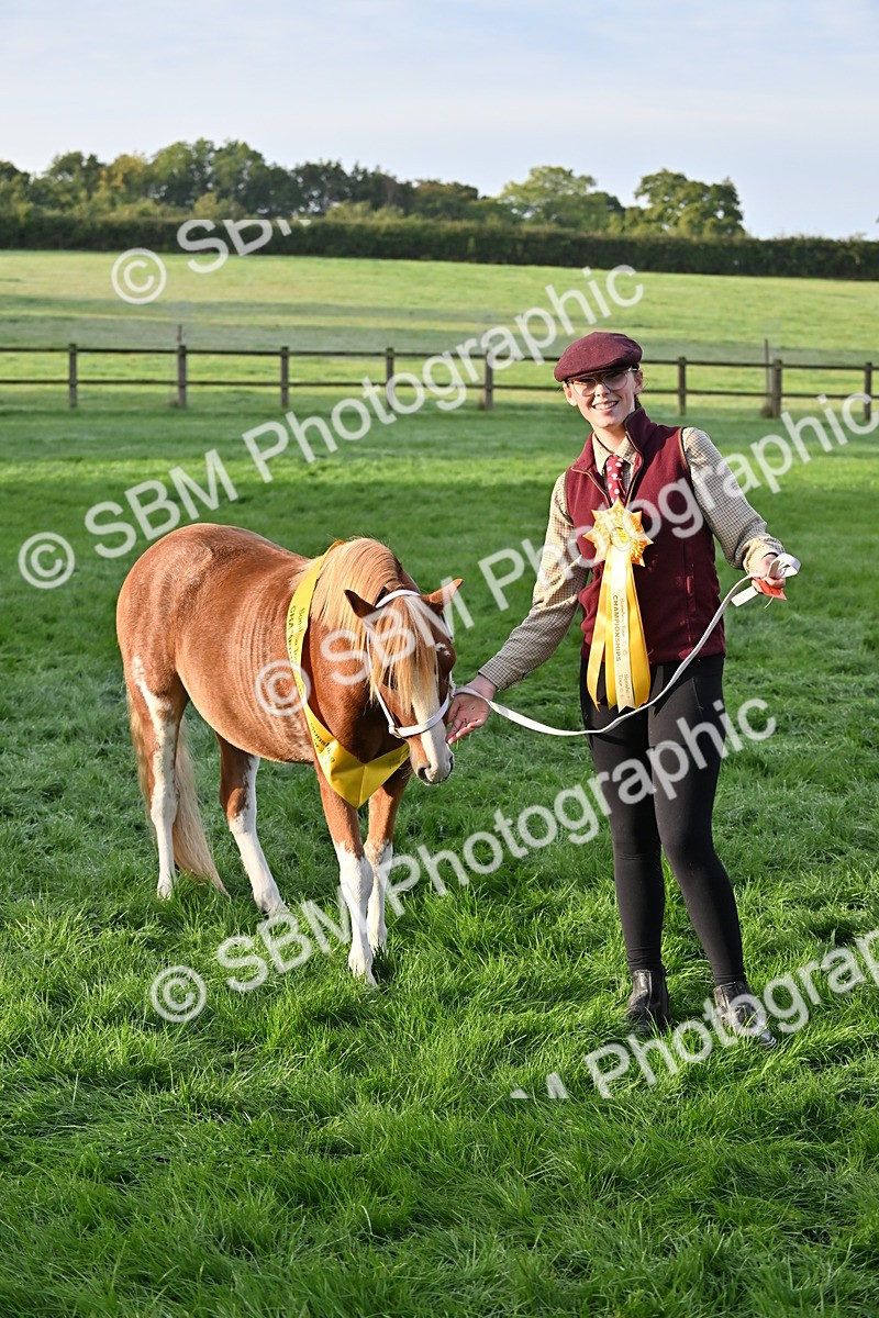 SBM_54631 - S44 - Youngstock In Hand