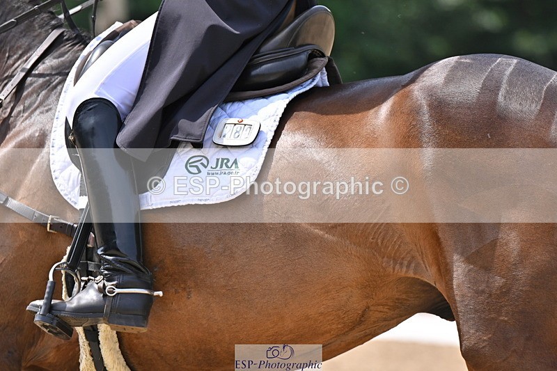 250523A-121101-06773 - C-280-Ryo.Murata-BROOKPARK.VIKENTI