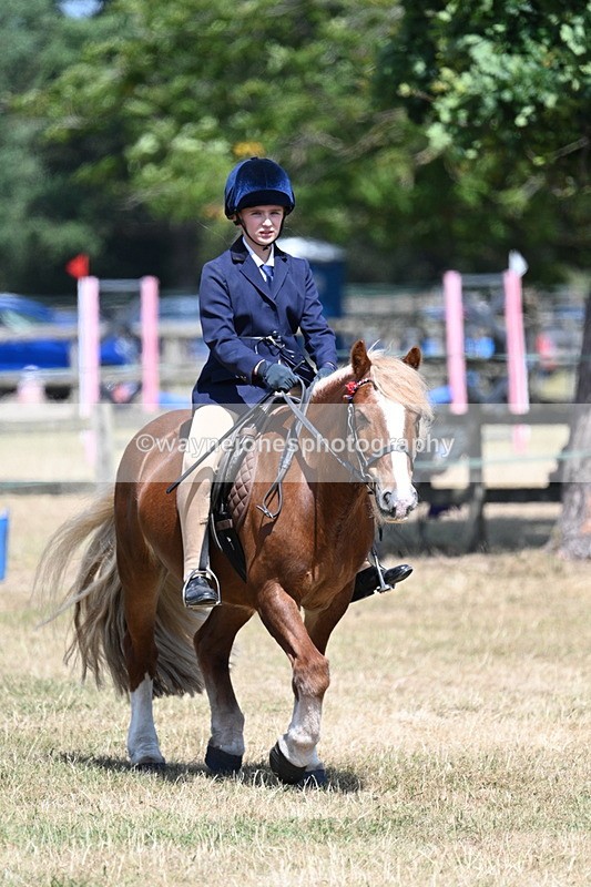 WJ7_3373 - Class 8 Ridden Veterans
