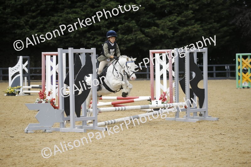 20250622-3971 - 50cm