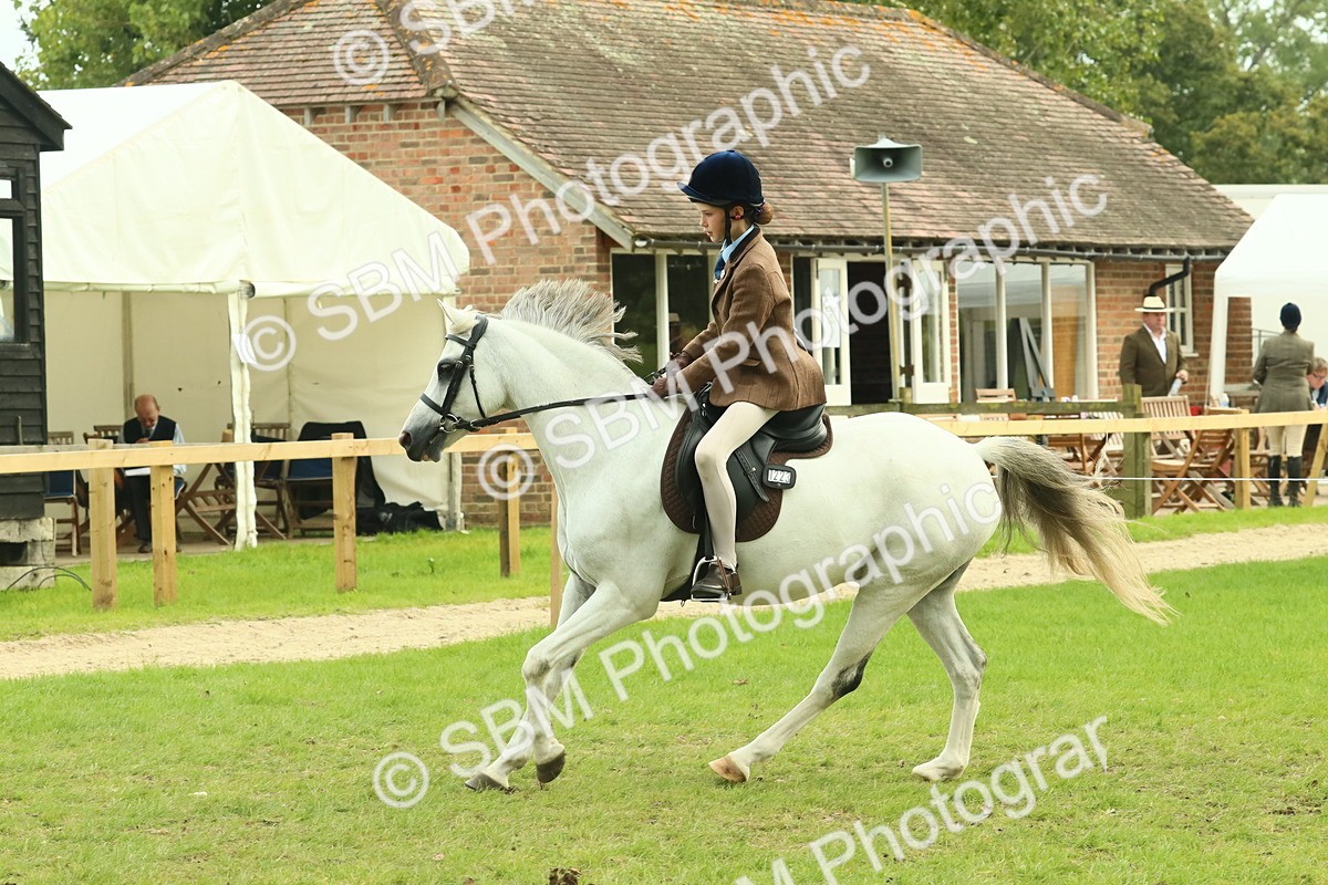 SBM_69926 - S59 - Mountain & Moorland Ridden Small Breeds