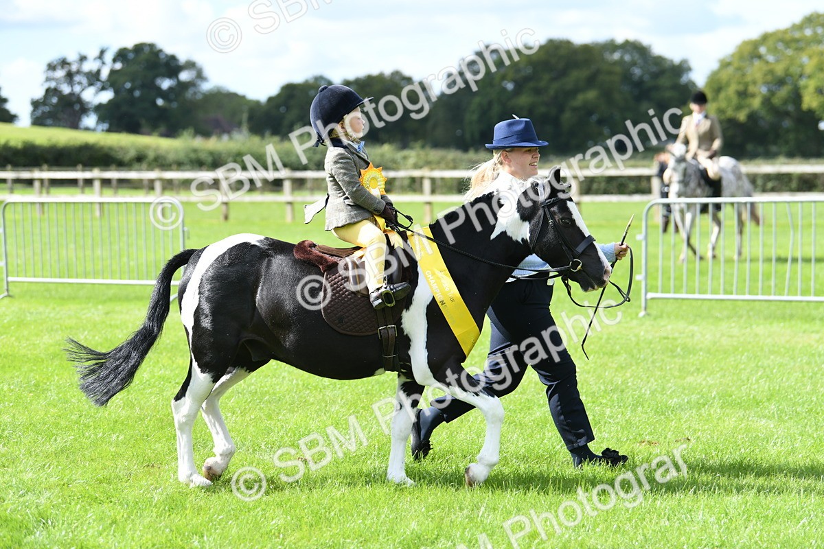 SBM_41283 - S19 - Lead Rein Show & Show Hunter Pony