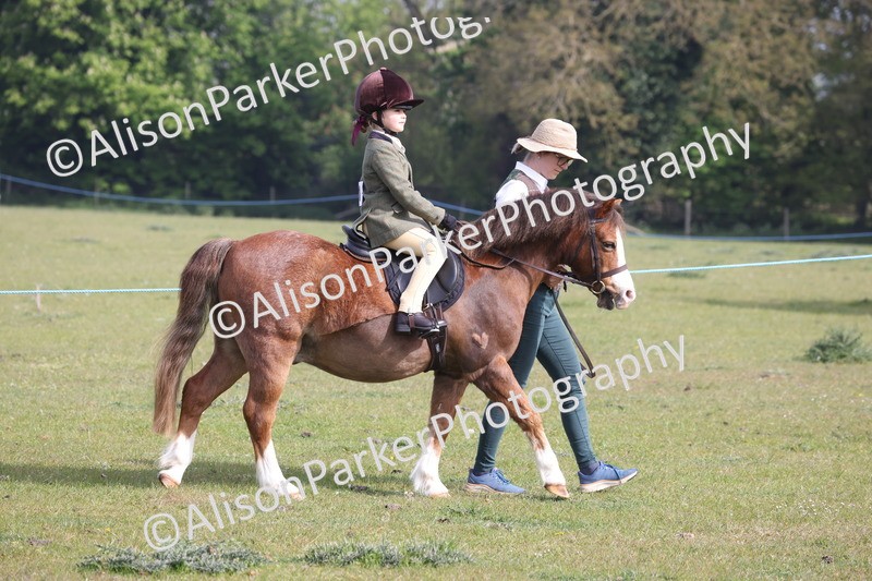 20260426-0261 - Class 30 - Tiny Tots Lead Rein