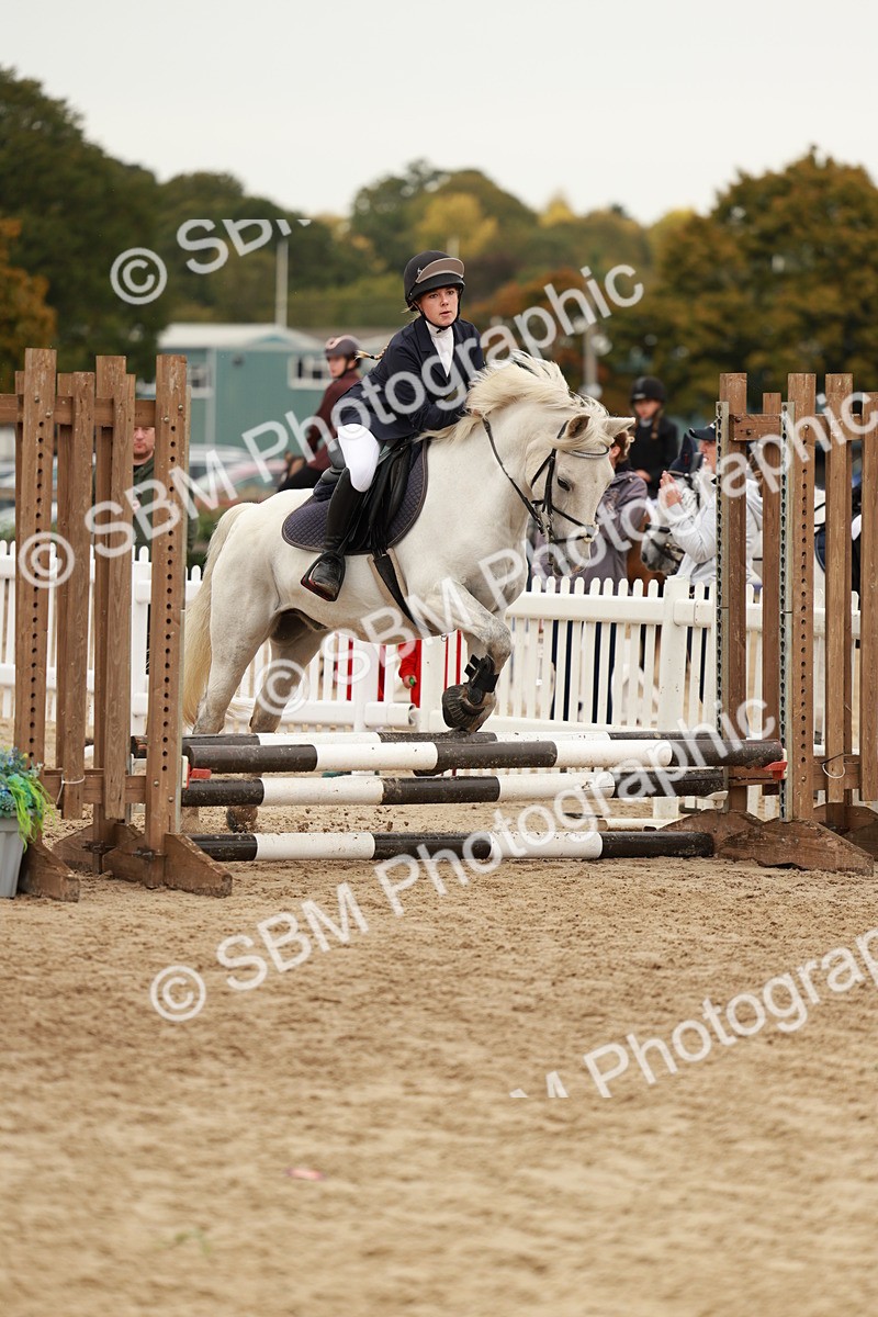 SBM_57897 - J11 - Junior Pony 50cm Championship