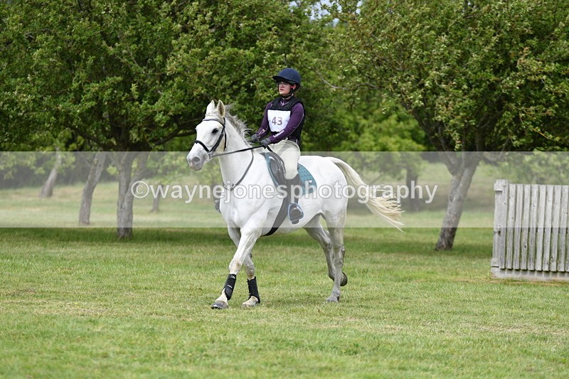 WJ5_3902 - Class 6 80cm