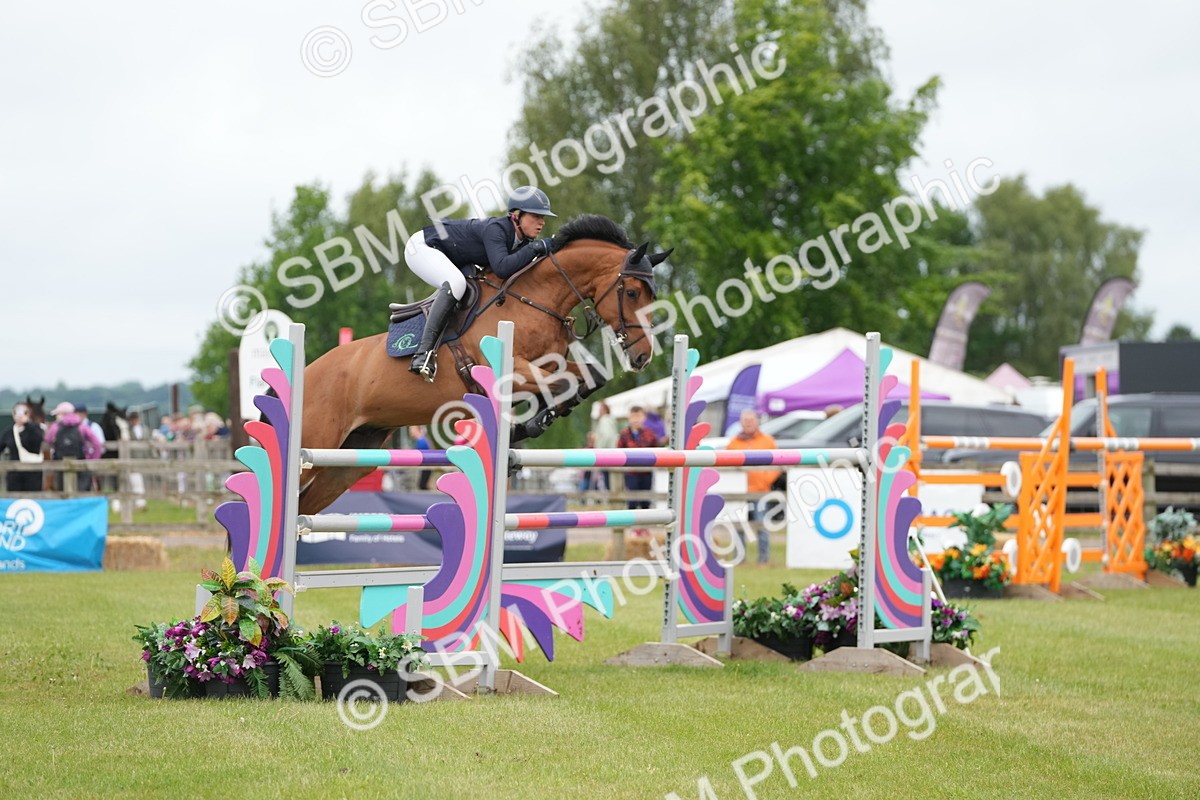 SBM_03244 - Class 201 - British Horse Feeds Speedi Beet Horse of the Year Show Grade  C