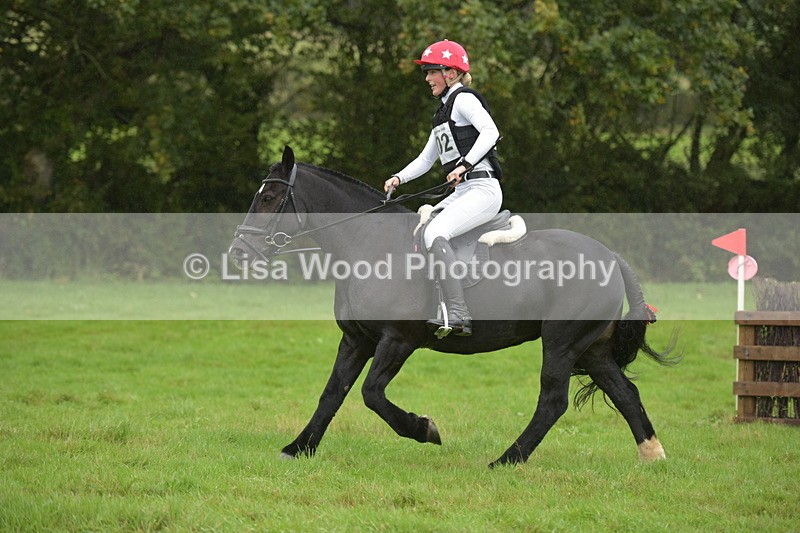 RAY_0187 - Class 4: 80cm: Double of Brushes