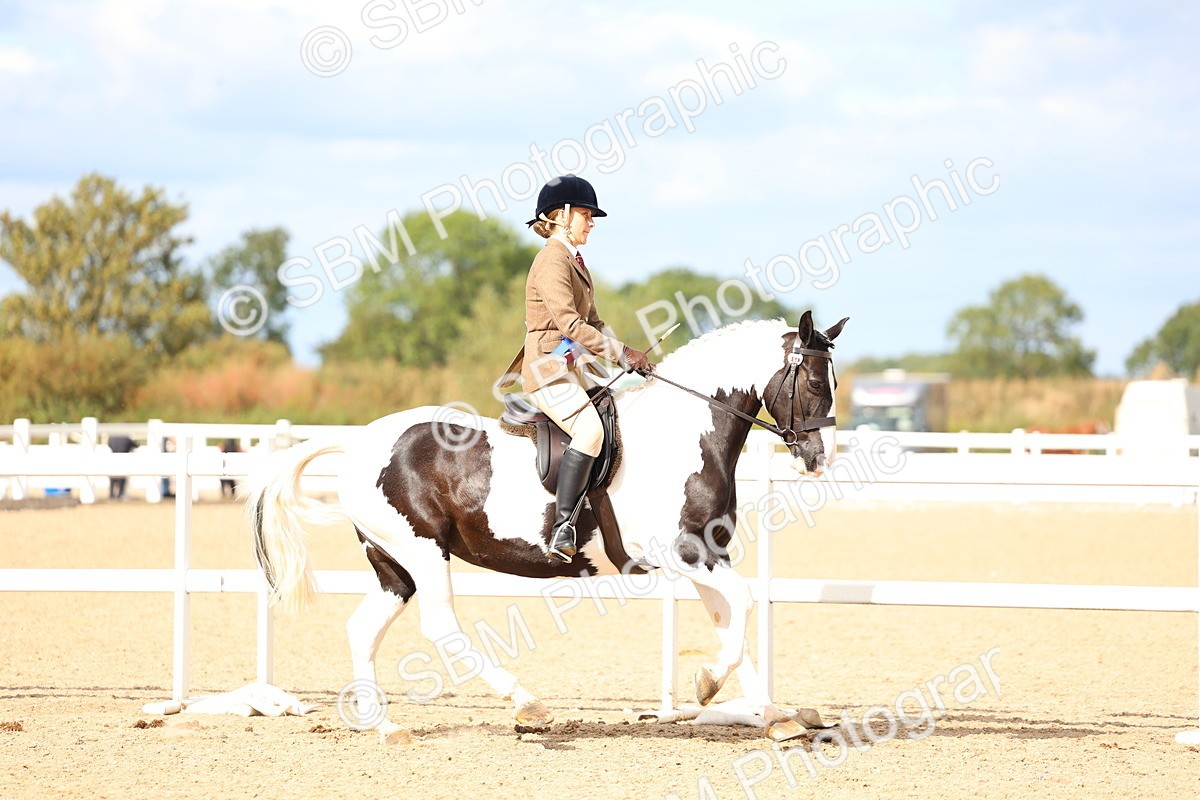 SBM_15869 - Class 314 - Family Horse - Pony