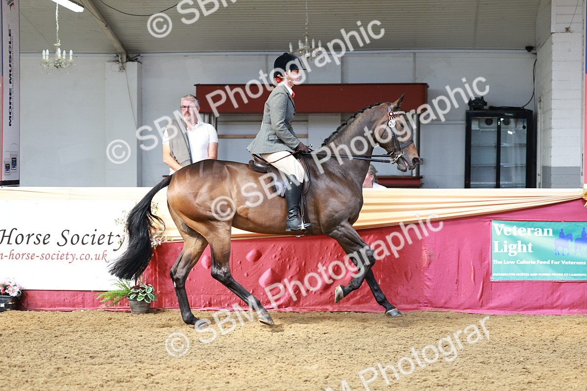 SBM_14897 - Class 108 - Ridden Retired Racehorse