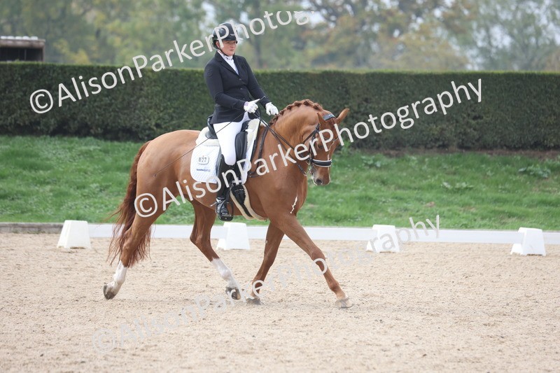 20251012-0788 - Class 9 - Advanced Medium 3