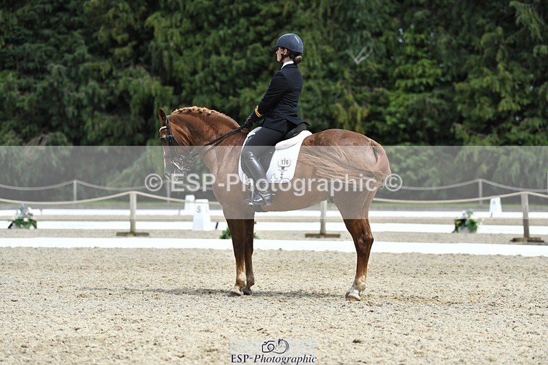 230812-141422-04641 - Cls 7 FEI PSG Bronze