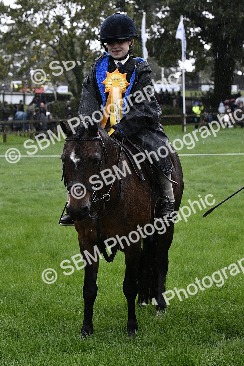 SBM_35587 - S30 - Nursery Stakes Working Hunter Pony