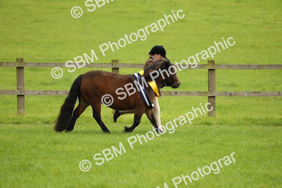 SBM_75410 - Equitation Supreme Championship