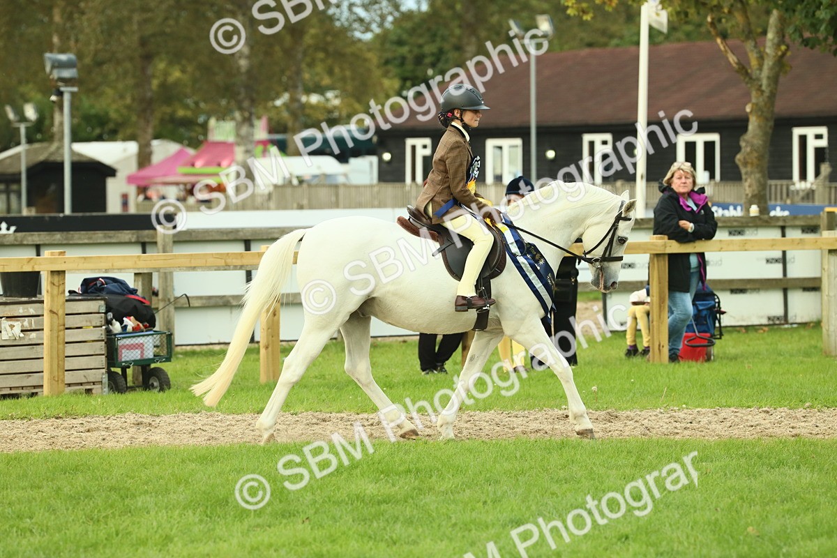 SBM_75235 - Super Supreme Championship