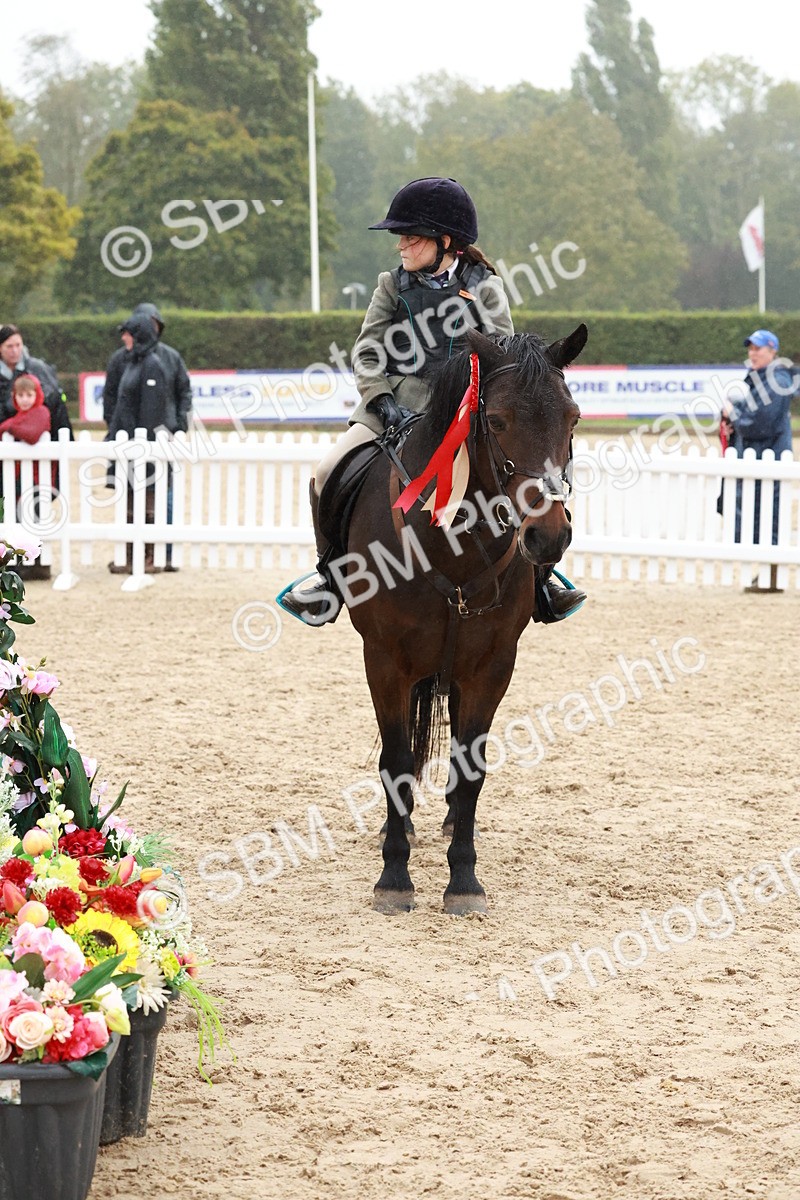 SBM_73615 - Supreme Championship Junior Pony 60cm & 65cm