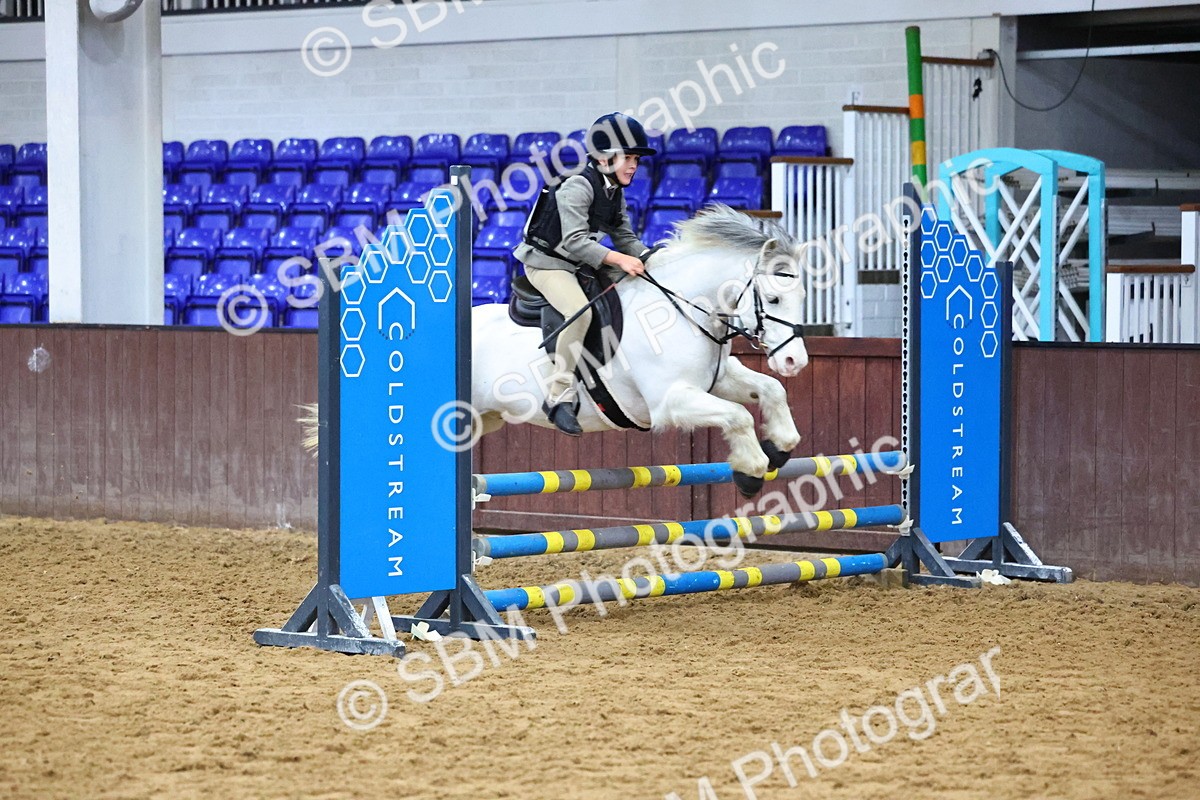 SBM_001439 - Class 3 - Christmas Tree Stakes - 60cm